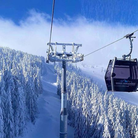 Apartments Foka & Spa - 600M From Gondola Ski Lift Kopaonik Buitenkant foto