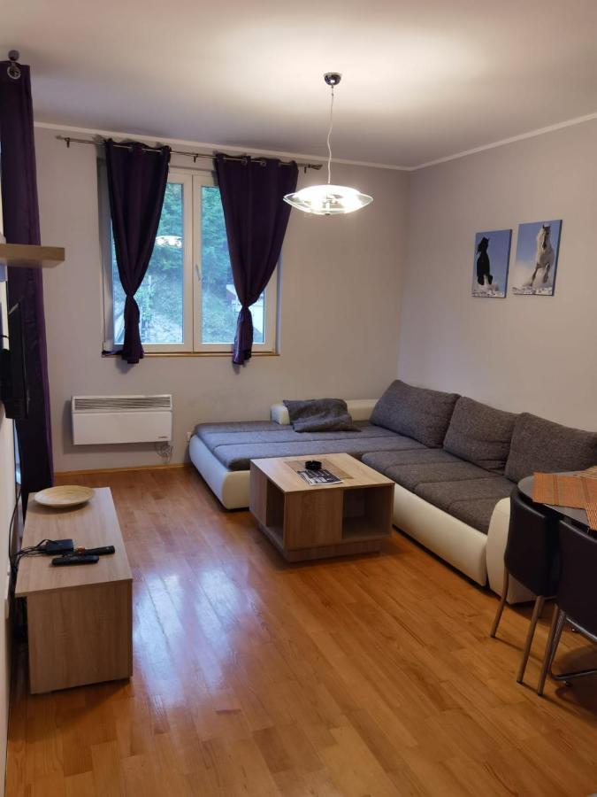 Apartments Foka & Spa - 600M From Gondola Ski Lift Kopaonik Buitenkant foto