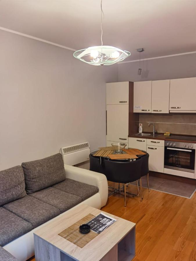 Apartments Foka & Spa - 600M From Gondola Ski Lift Kopaonik Buitenkant foto