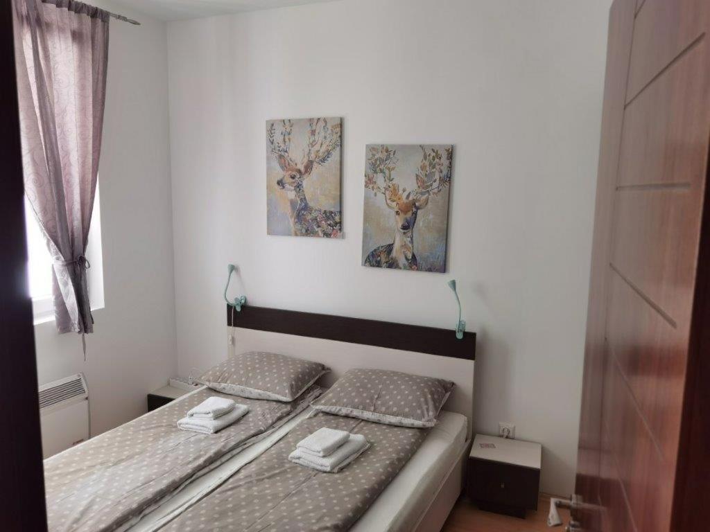 Apartments Foka & Spa - 600M From Gondola Ski Lift Kopaonik Buitenkant foto