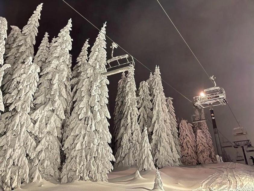 Apartments Foka & Spa - 600M From Gondola Ski Lift Kopaonik Buitenkant foto