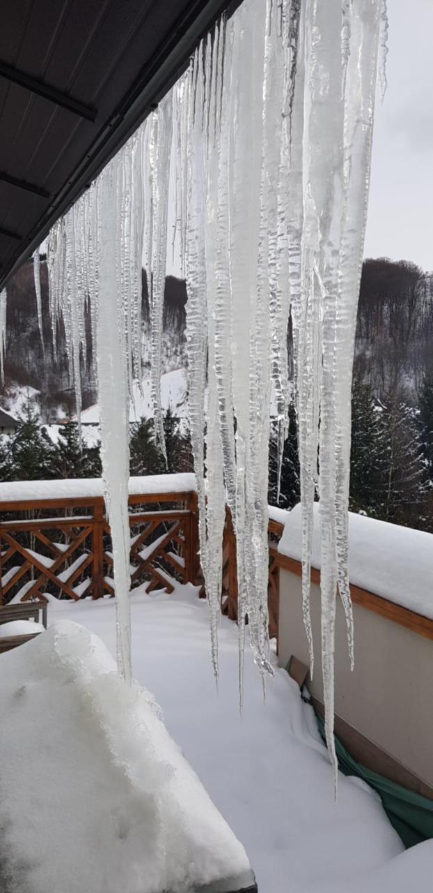 Apartments Foka & Spa - 600M From Gondola Ski Lift Kopaonik Buitenkant foto